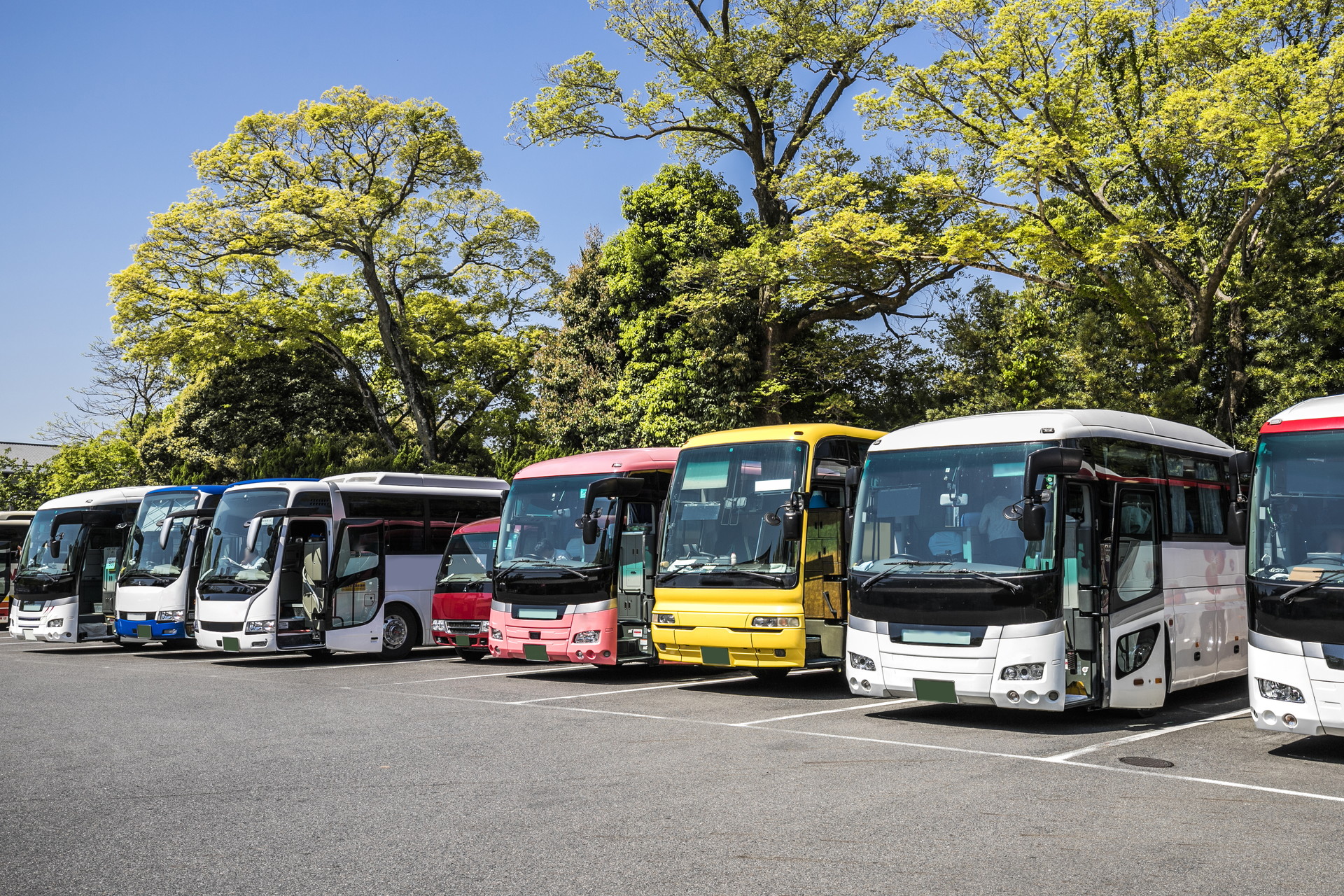 バスのサイズは何種類あるの それぞれの特徴も解説 Japanbusnet ジャパンバスネット